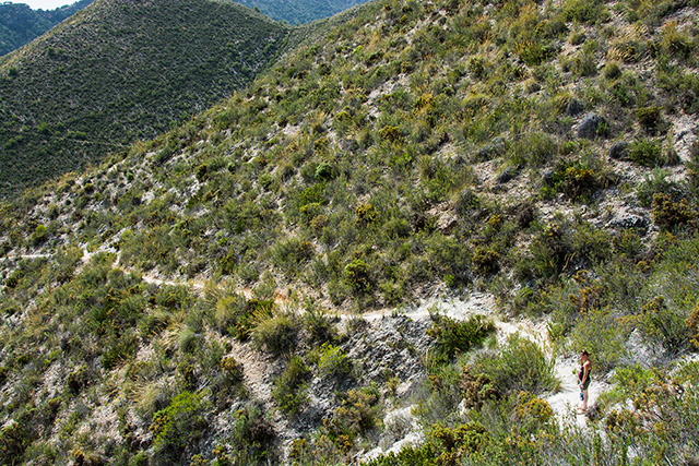 Sierra de Tejeda