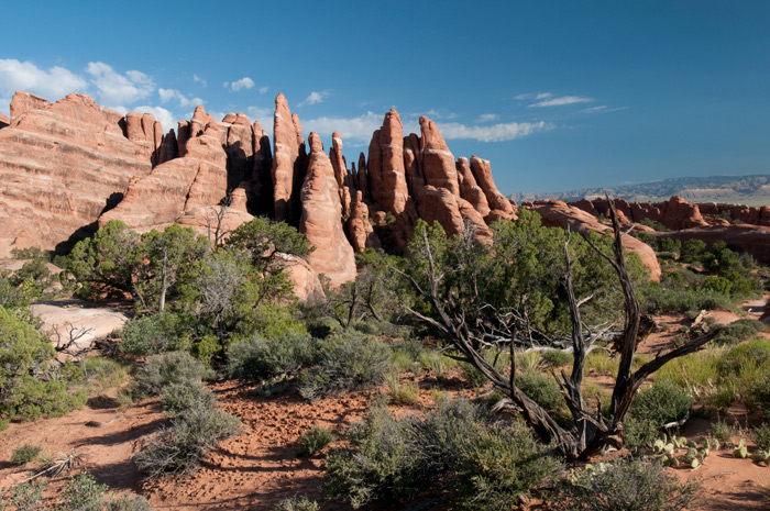 Arches National Park