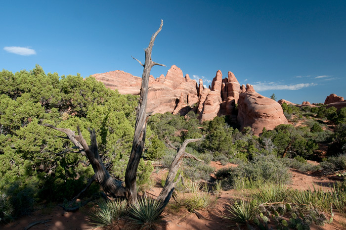 Arches National Park