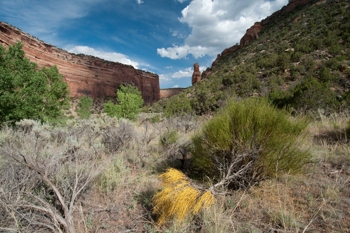 Colorado National Monument