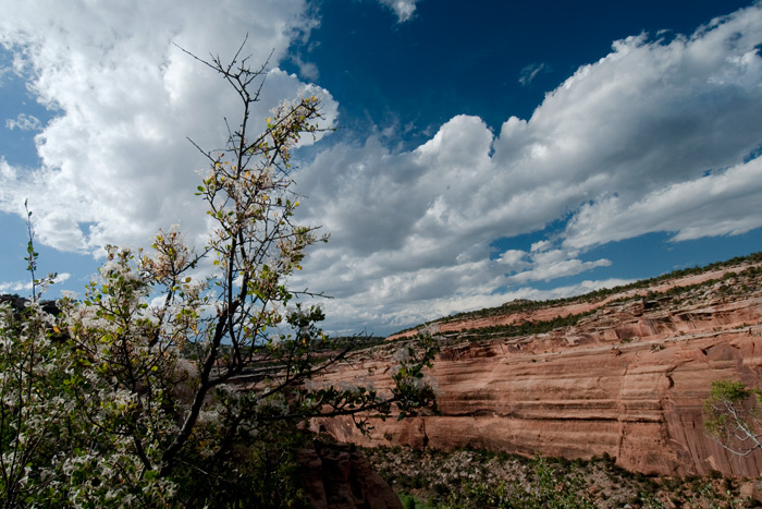 Colorado National Monument