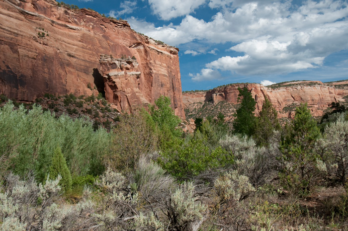 Colorado National Monument