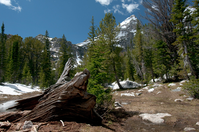 Grand Teton National Park