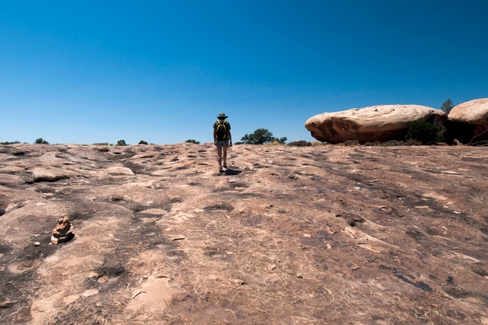 The Needles - Canyonlands National Park