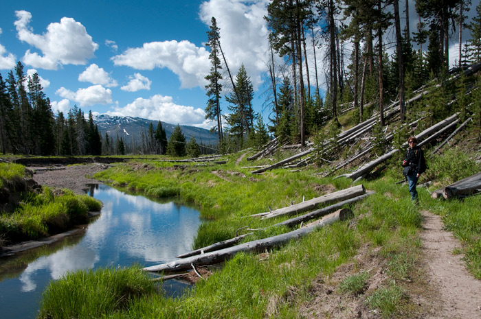 Yellowstone National Park