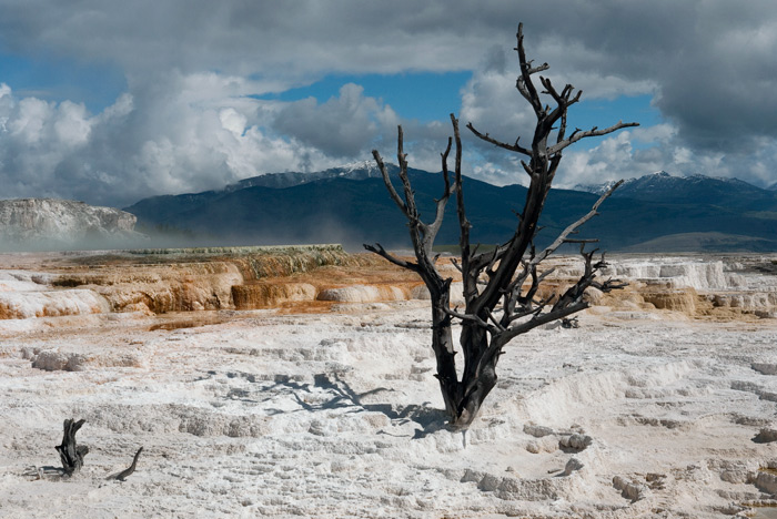 Mammoth Hot Springs Terrace - Yellowstone National Park