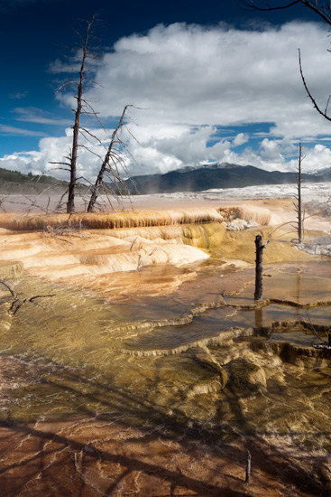 Mammoth Hot Springs Terrace - Yellowstone National Park