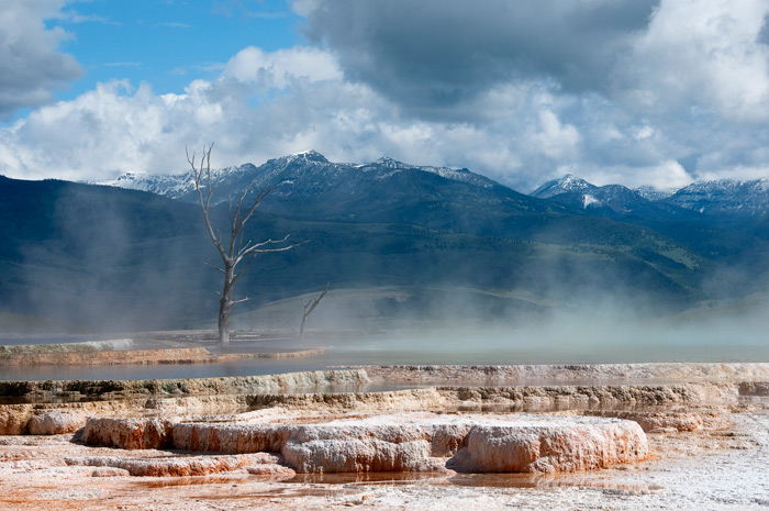 Mammoth Hot Springs Terrace - Yellowstone National Park