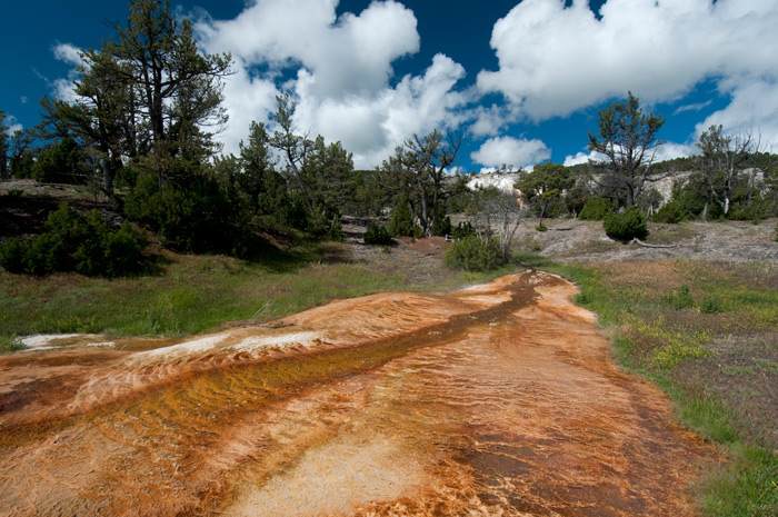 Mammoth Hot Springs Terrace - Yellowstone National Park