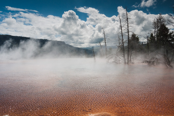 Mammoth Hot Springs Terrace - Yellowstone National Park