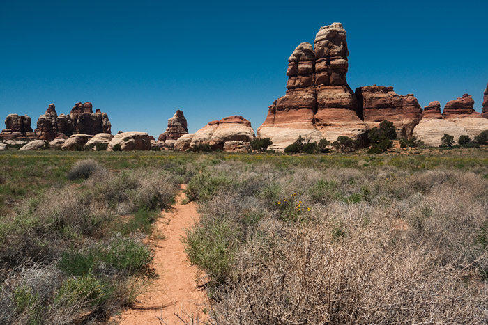 The Needles - Canyonlands National Park