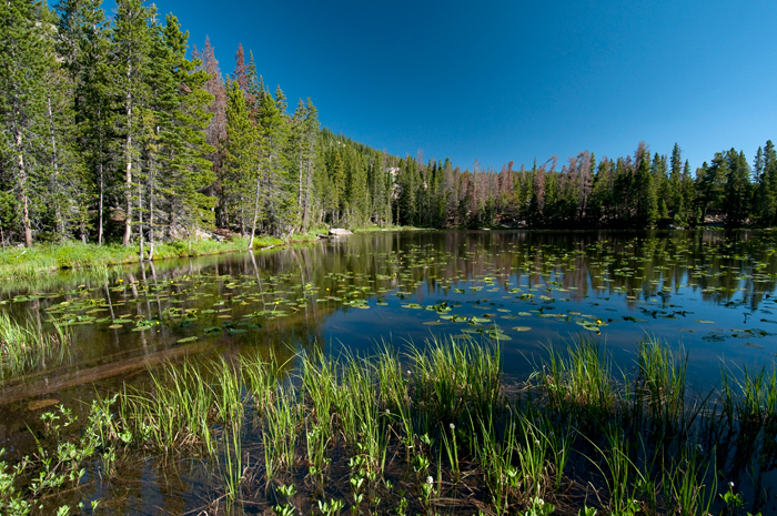 Rocky Mountains National Park