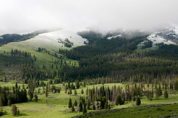 Great Sand Dunes National Park