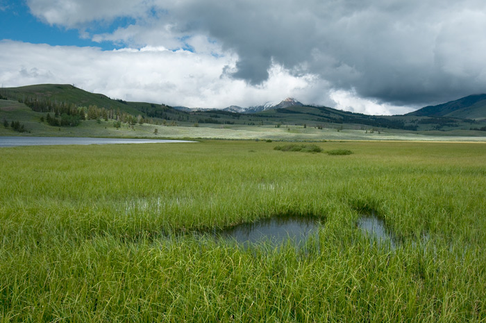 Great Sand Dunes National Park