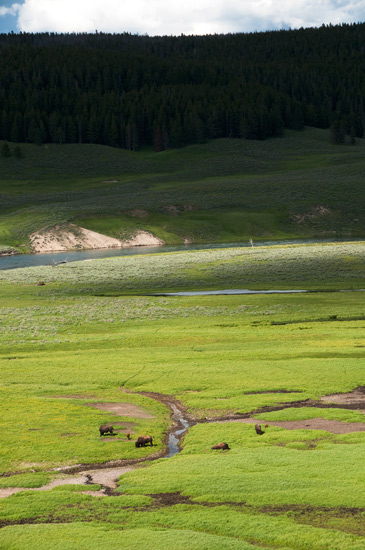 Great Sand Dunes National Park