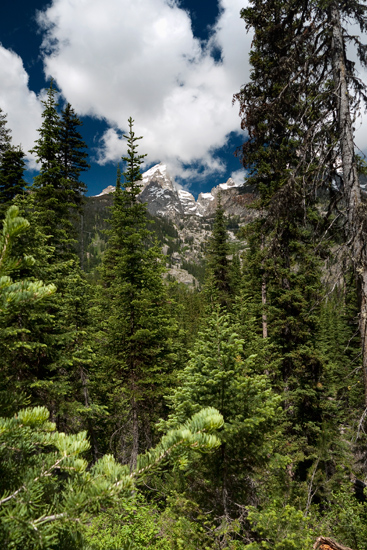 Grand Teton National Park