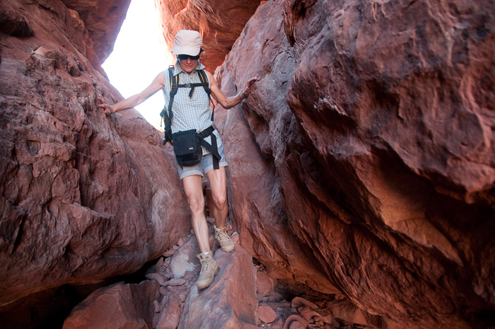 The Needles - Canyonlands National Park