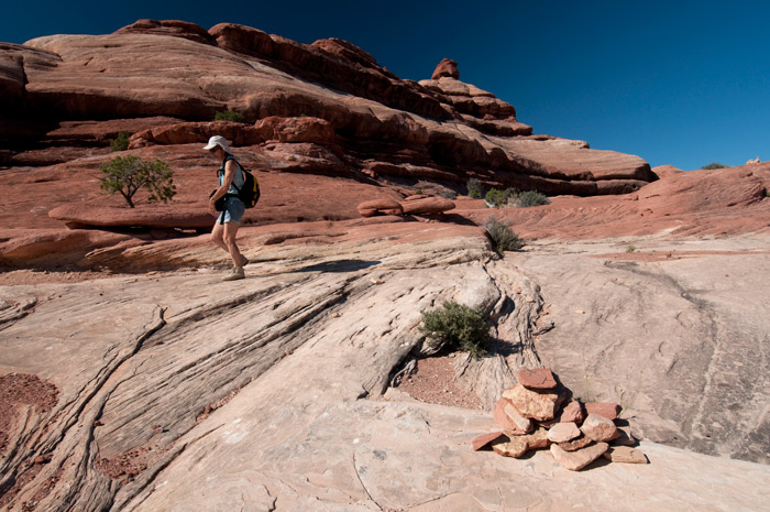 The Needles - Canyonlands National Park