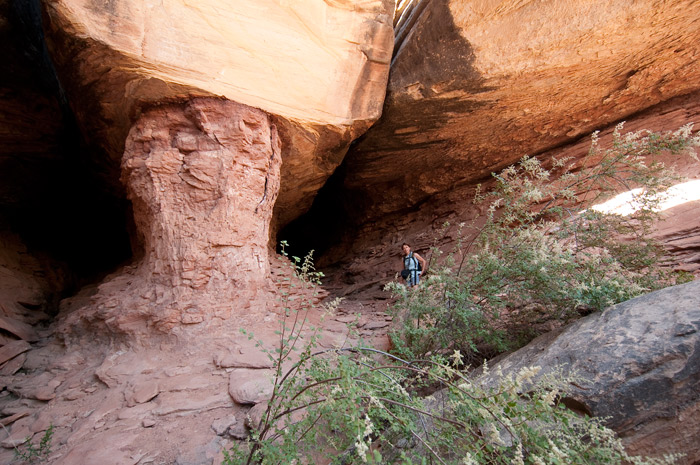 The Needles - Canyonlands National Park