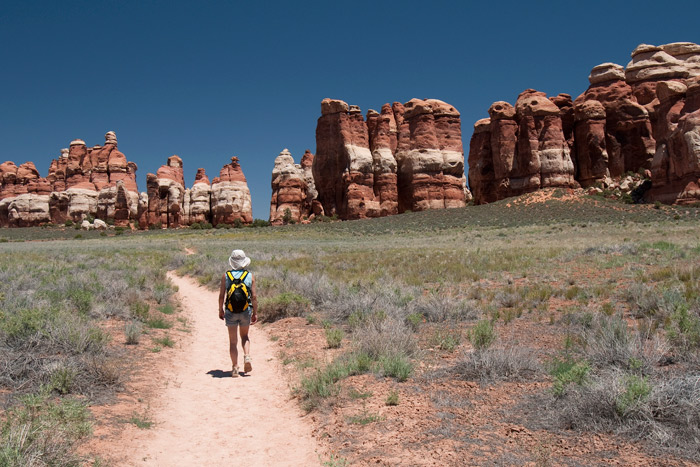 The Needles - Canyonlands National Park