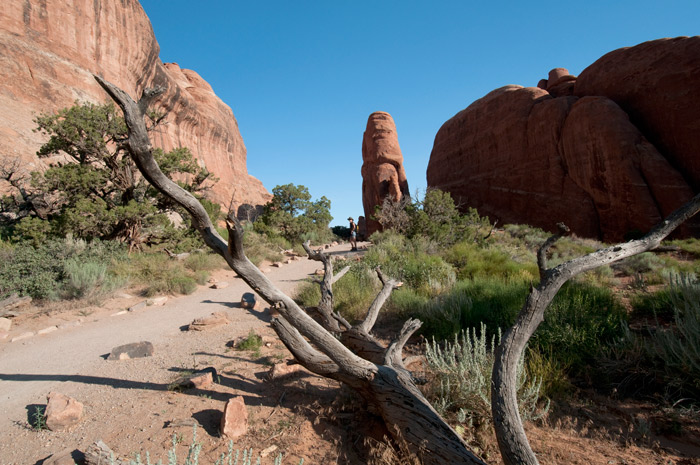 Arches National Park