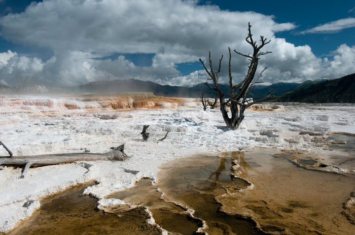 Mammoth Hot Springs Terrace - Yellowstone National Park