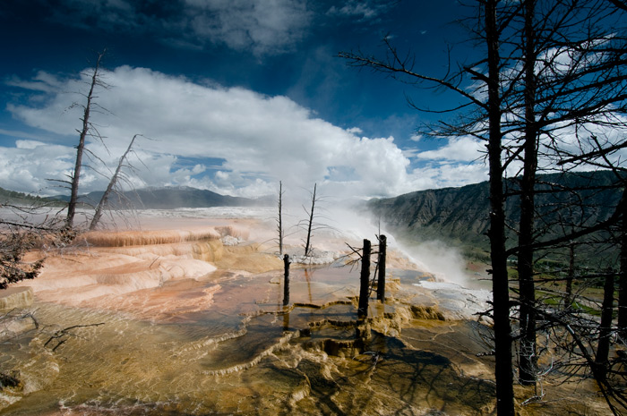 Mammoth Hot Springs Terrace - Yellowstone National Park