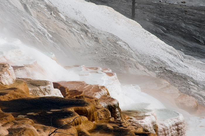 Mammoth Hot Springs Terrace - Yellowstone National Park