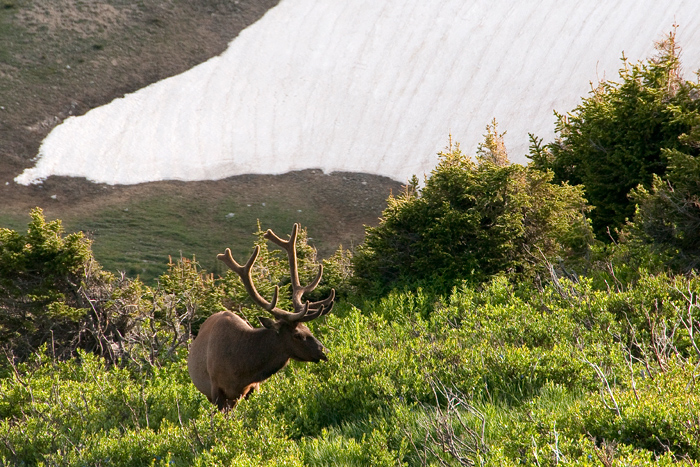 Rocky Mountains National Park