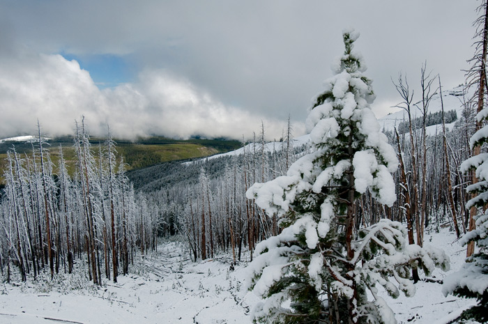 Great Sand Dunes National Park