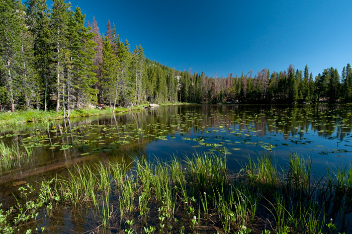 Nymph Lake