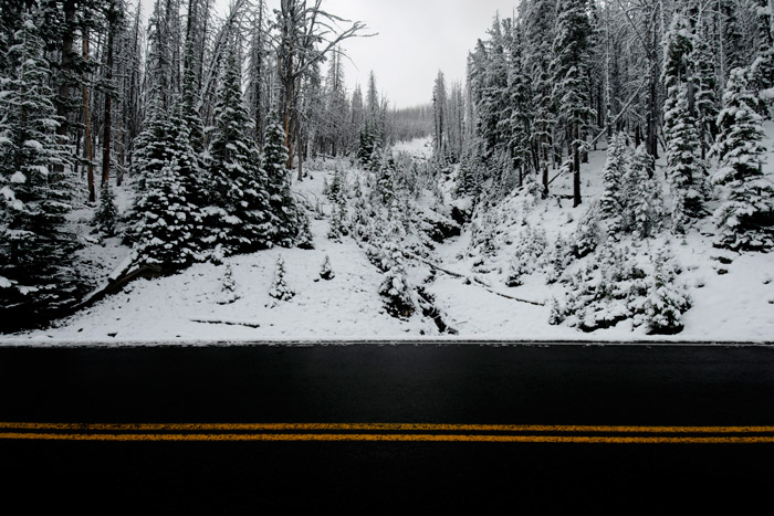 neige sur Yellowstone